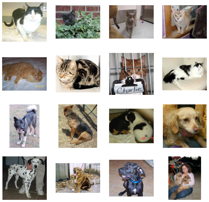 classifying_the_cats_and_dogs_04