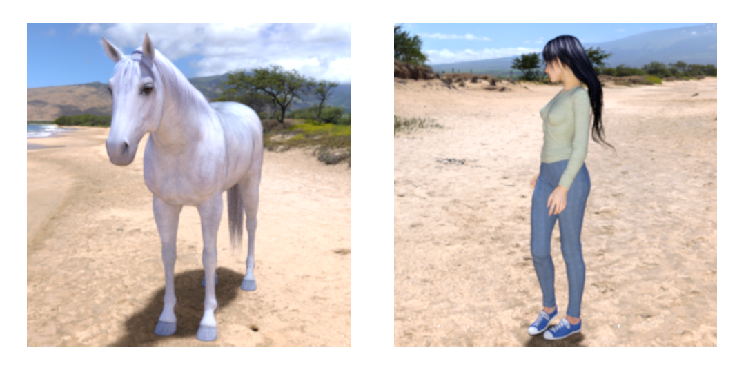classifying_the_horse_and_human_00